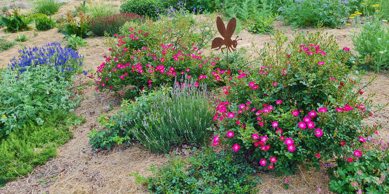 Staudenbeet mit Biene aus Metall